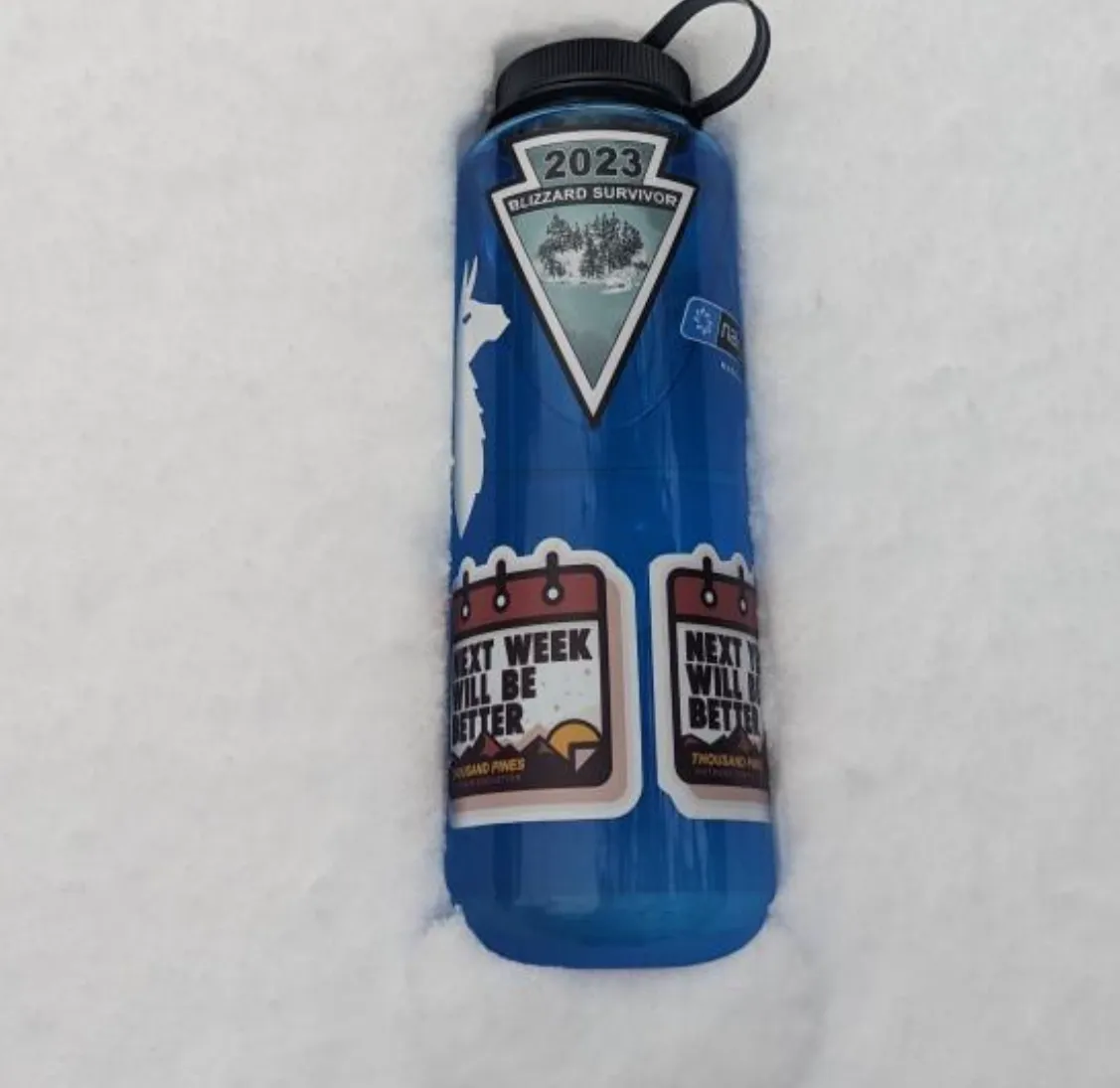 'I SURVIVED' BLIZZARD 2023 STICKER SALE!!!